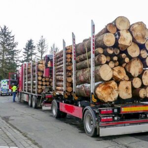 CHÂTAIGNIER EN GRUME, CAMION DE 50 STÈRES