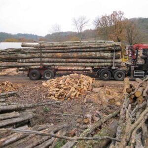 CHÂTAIGNIER EN GRUME – 50 STÈRES